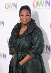 OWN: Oprah Winfrey Network Launch Cocktail 2011 TCA Reception