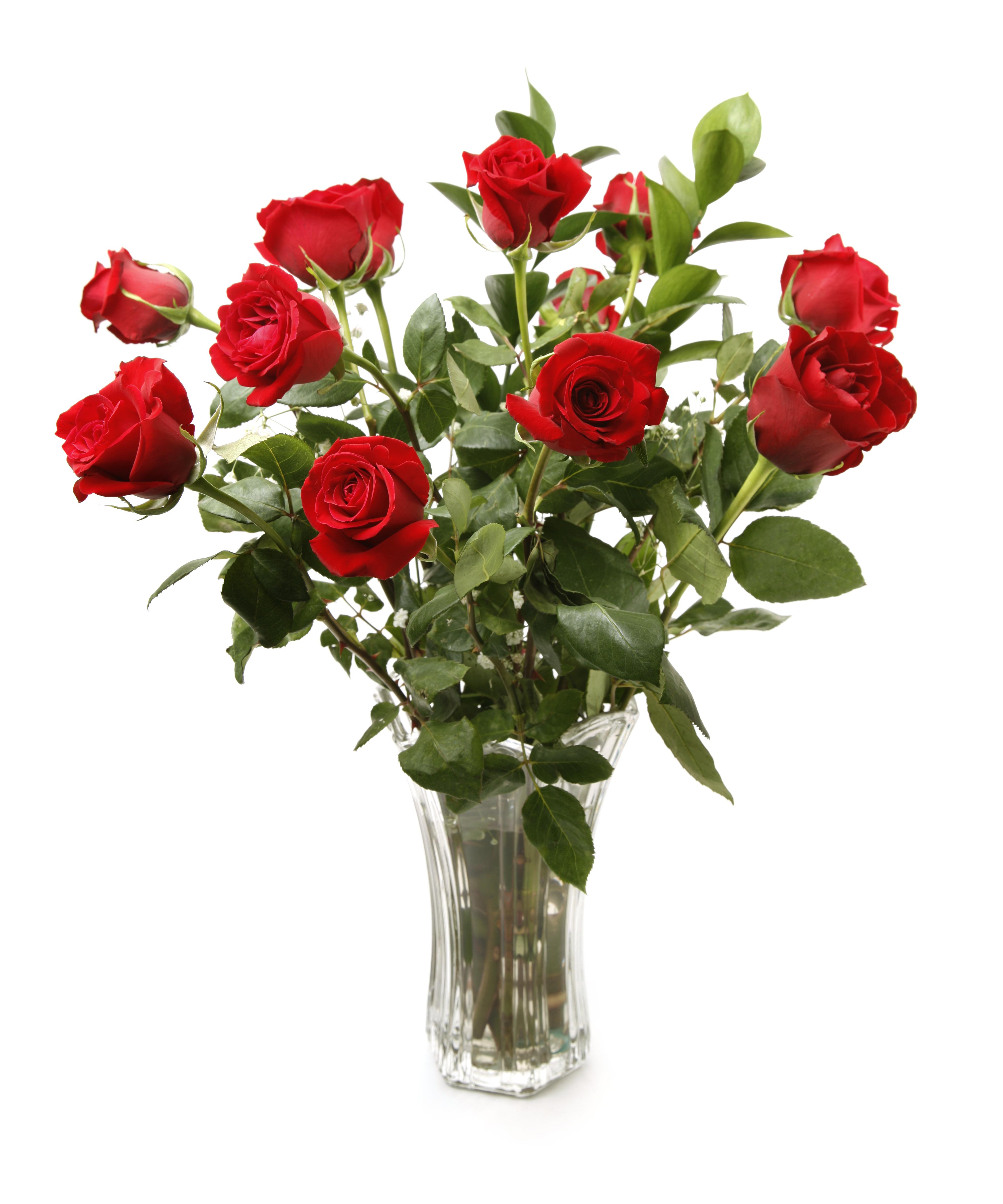 One Dozen Red Roses
