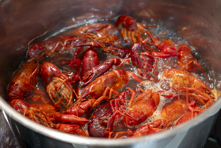 Boiling crawfish